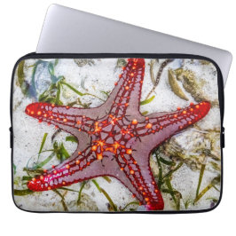 Funda Para Portátil Starfish, Zanzibar, Tanzania