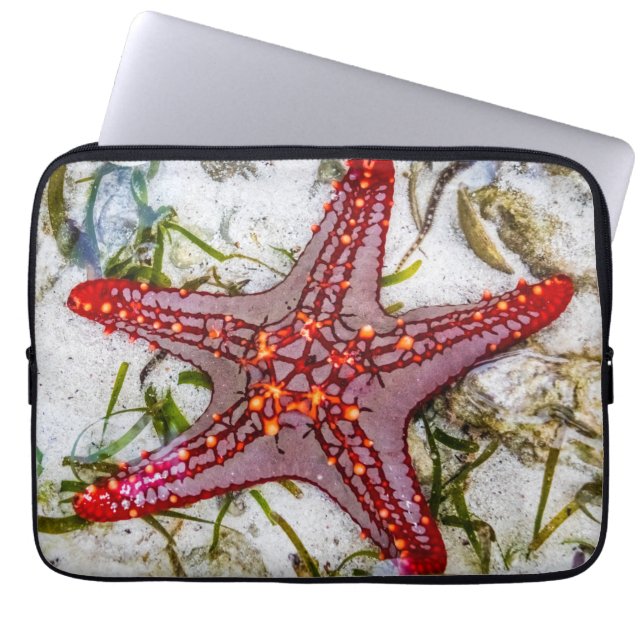 Funda Para Portátil Starfish, Zanzibar, Tanzania (Frente)