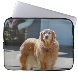 Funda Para Portátil Sunshine dorado