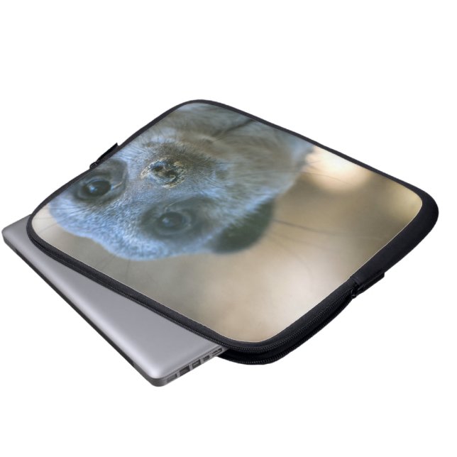 Funda Para Portátil Suricata divertida (Inferior anverso)