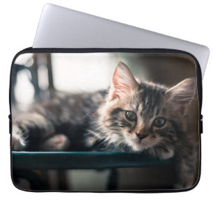 Funda Para Portátil Tabby dulce