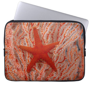 Funda Para Portátil Tailandia, Estrella de Mar