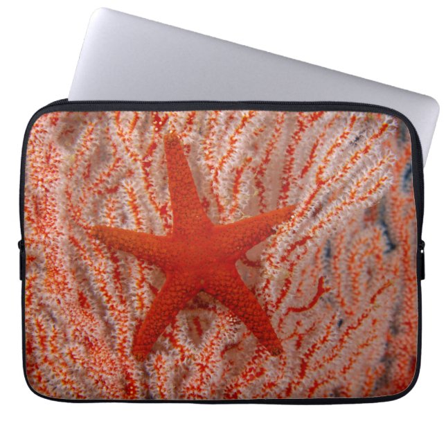 Funda Para Portátil Tailandia, Estrella de Mar (Frente)