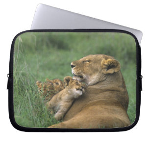 Funda Para Portátil Tanzania, cráter de Ngorongoro. Madre de león afri