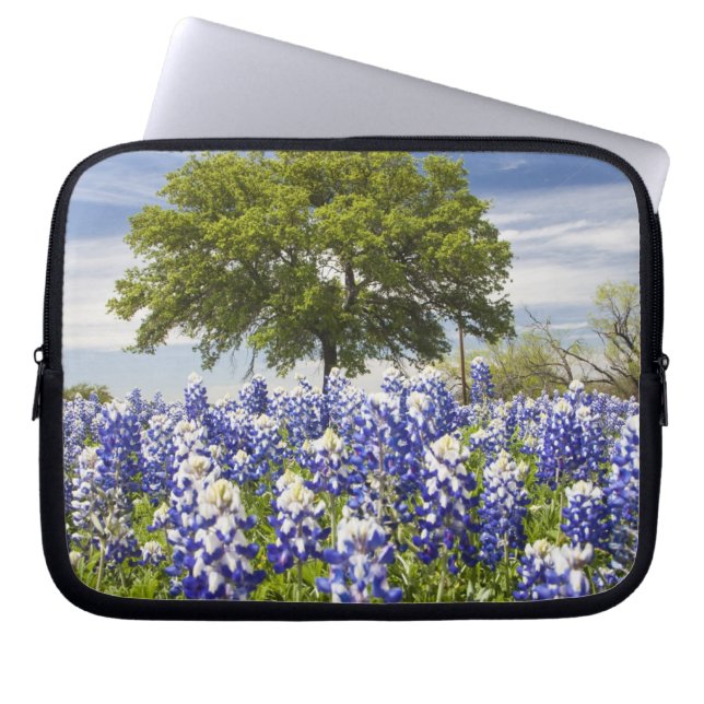 Funda Para Portátil Tejas bluebonnets (lupinus texensis) y roble (Frente)