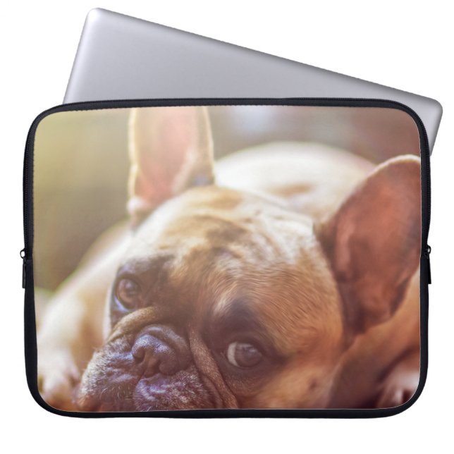 Funda Para Portátil tendido de bulldog francés (Frente)