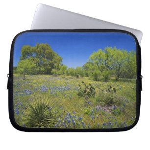 Funda Para Portátil Texas, Texas Hill Country, Low bladderpod,