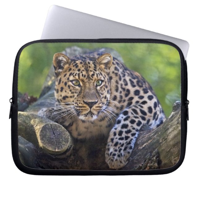 Funda para portátil The Watcher (Frente)