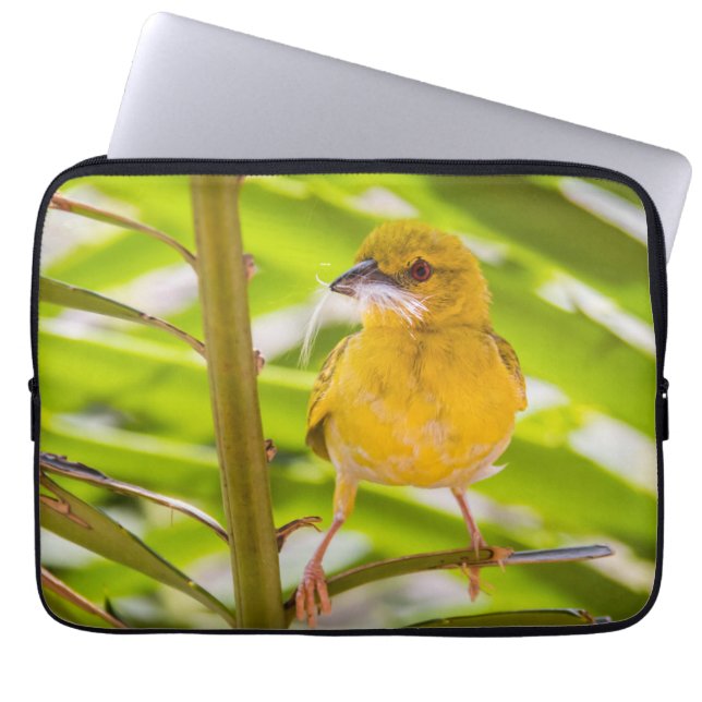 Funda Para Portátil Tiempo de construir el nido (Frente)