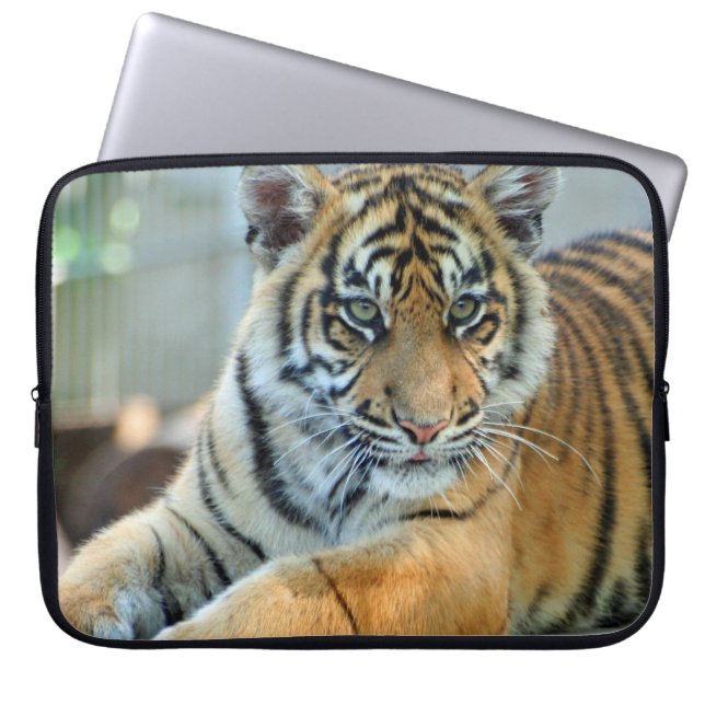 Funda Para Portátil Tigre 034 (Frente)