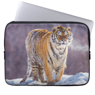 Funda Para Portátil Tigre siberiano en la nieve, China