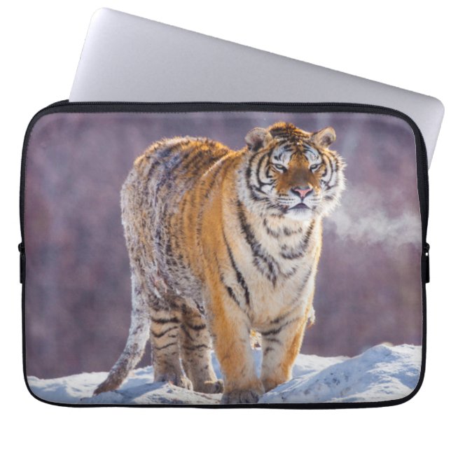 Funda Para Portátil Tigre siberiano en la nieve, China (Frente)