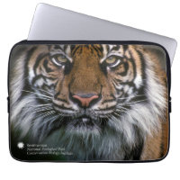 Tigre Soyono de Smithsonian el | Sumatran