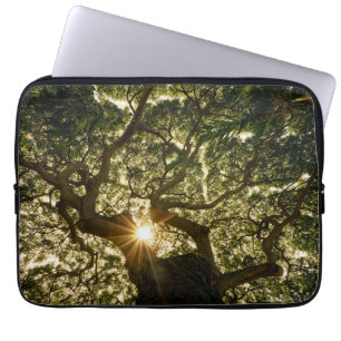 Funda Para Portátil Toldo de baniano Sunstar