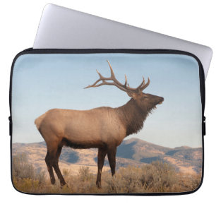 Funda Para Portátil Toro Elk Cerca De Mammoth   Wyoming