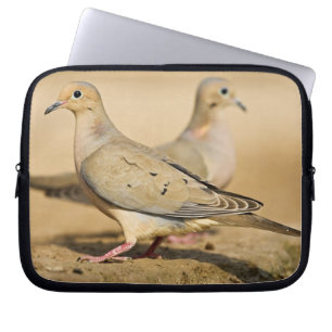 Funda Para Portátil Tórtola Llorona