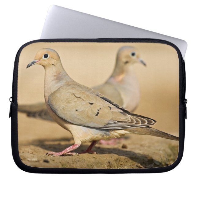 Funda Para Portátil Tórtola Llorona (Frente)