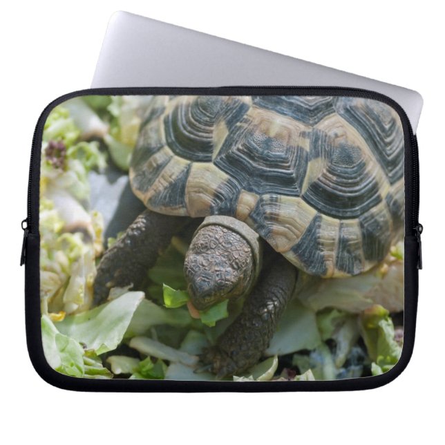 Funda Para Portátil Tortuga Cuta (Frente)