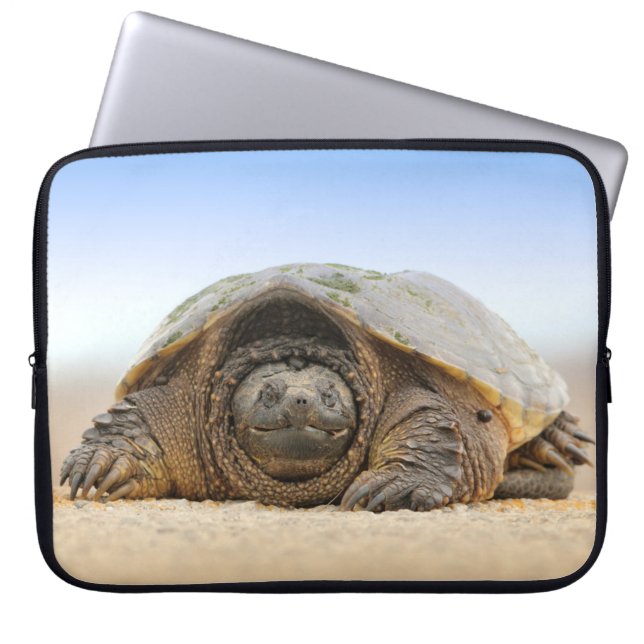 FUNDA PARA PORTÁTIL TORTUGA DE ARENA GRIS (Frente)