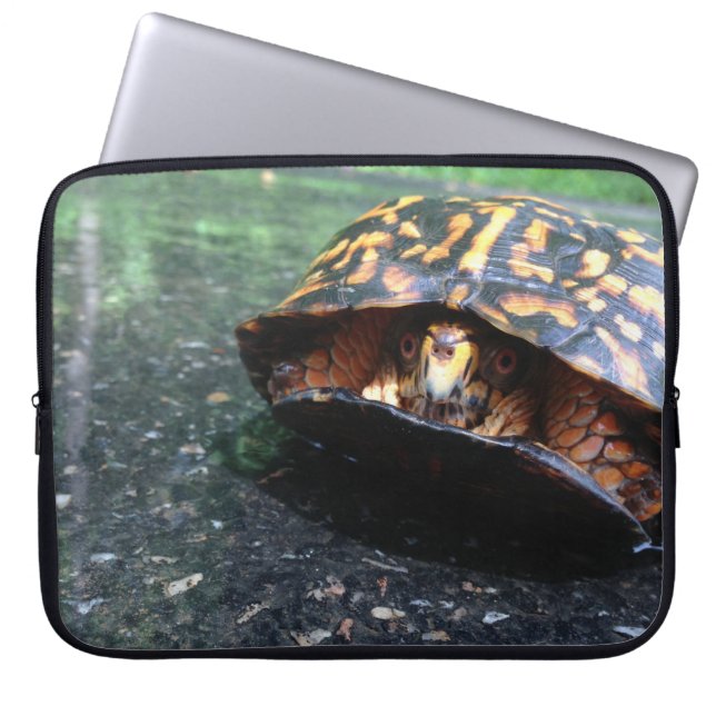 Funda Para Portátil Tortuga de caja (Frente)