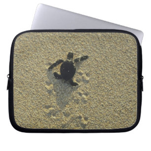 Funda Para Portátil Tortuga Verde, (Chelonia mydas), cría
