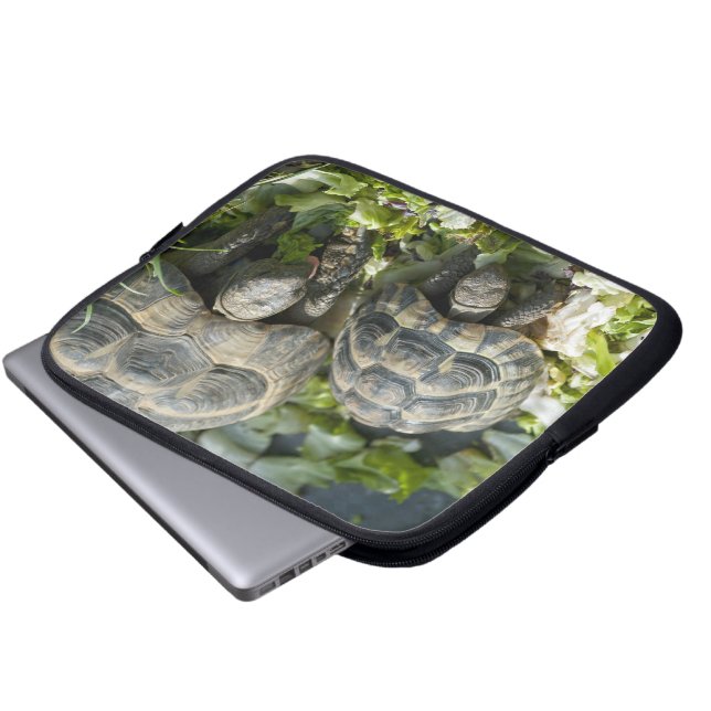 Funda Para Portátil Tortugas cortas (Inferior anverso)