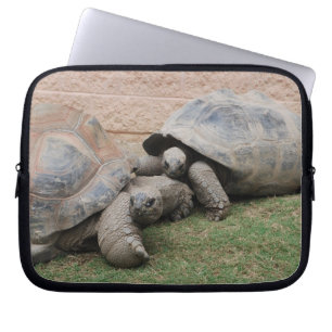 Funda Para Portátil tortugas gigantes