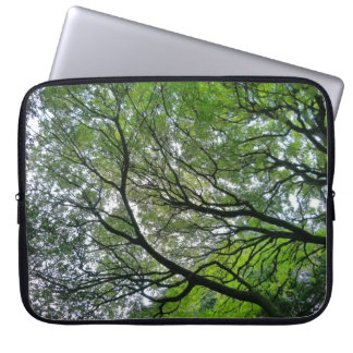 Funda Para Portátil Tree Canopy V, Bute Park, Cardiff