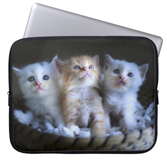 Funda Para Portátil Tres Amigos (Frente)