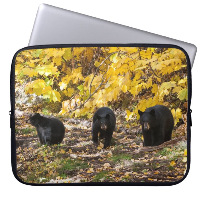 Funda Para Portátil Tres Baños (Frente)