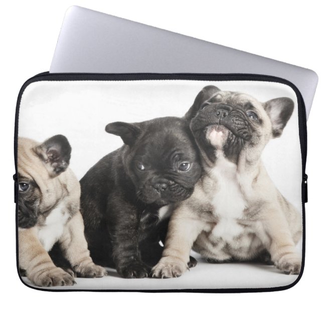 Funda Para Portátil Tres cachorros de Pug (Frente)