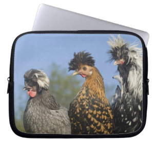 Funda Para Portátil Tres pollos polacos -
