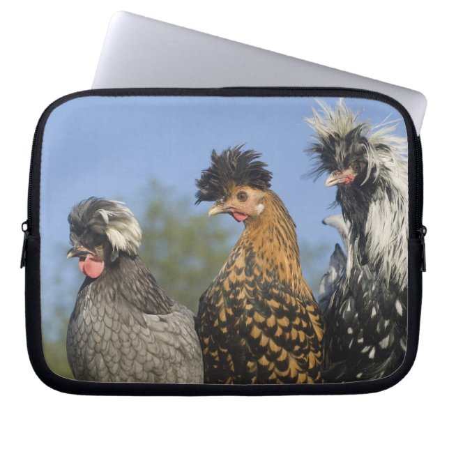 Funda Para Portátil Tres pollos polacos - (Frente)
