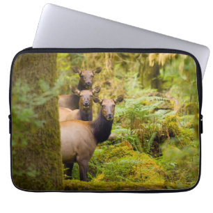 Funda Para Portátil Tres vacas de alce Roosevelt mirando la vista