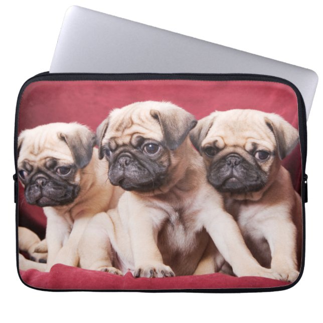 Funda Para Portátil Trillizos de Pug (Frente)