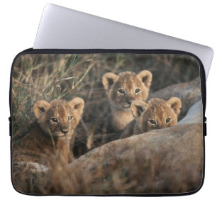 Funda Para Portátil Trío de cachorros de león con su madre