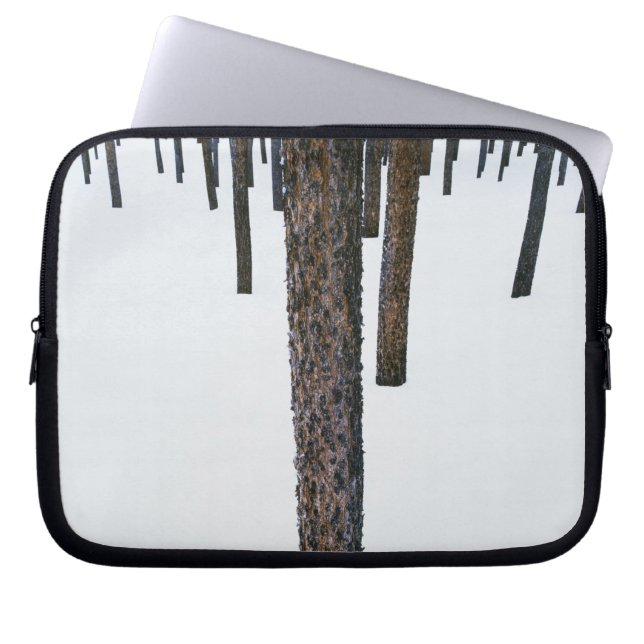 Funda Para Portátil Troncos de árbol en nieve (Frente)