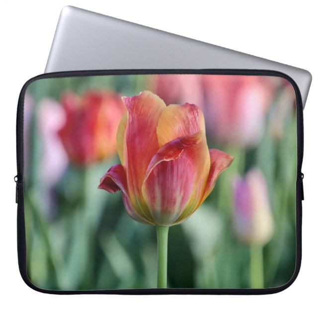 Funda para portátil Tulipán Destacado (Frente)