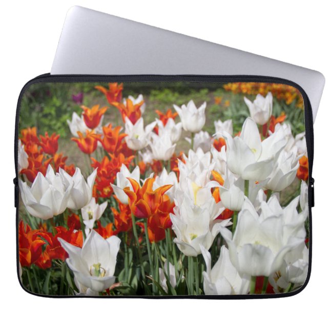 Funda Para Portátil Tulipanes blancos y jengibre en el jardín (Frente)