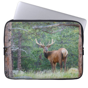 Funda Para Portátil Un alce mirando hacia atrás Montañas Rocosas