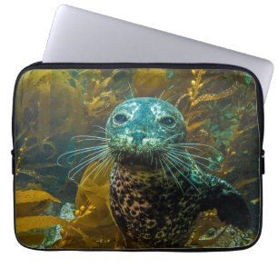 Funda Para Portátil Un bosque curioso el Santa Barbara del quelpo