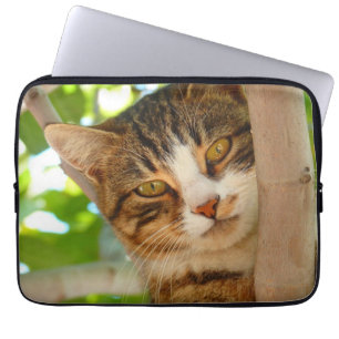 Funda Para Portátil Un gato lindo trepando un árbol