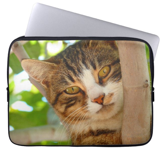 Funda Para Portátil Un gato lindo trepando un árbol (Frente)