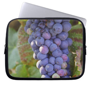 Funda Para Portátil Un racimo de uvas Pinot Noir en un Chambertin