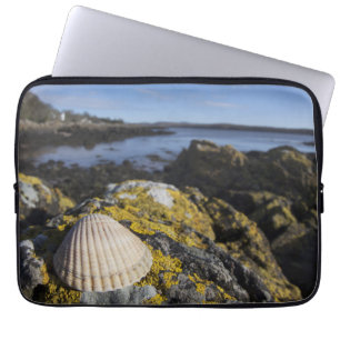 Funda Para Portátil Un Seashell se sienta en una roca el Dumfries,