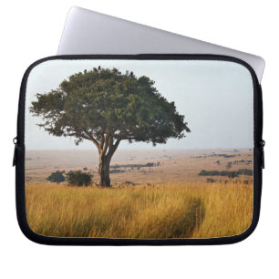 Funda Para Portátil Un solo árbol de acacia en llanuras herbáceas, Mas