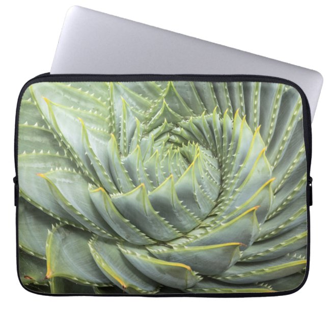 Funda Para Portátil Un Succulent verde y blanco (Frente)