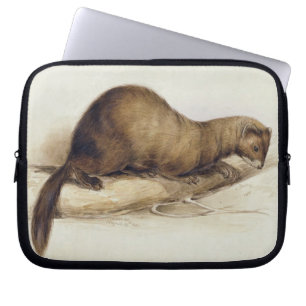 Funda Para Portátil Una comadreja, 1832 (w/c, ove de la pluma, de la
