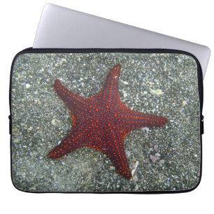 Funda Para Portátil Una estrella de mar roja el   las Islas Galápagos