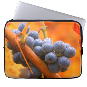 Funda Para Portátil Uva Madura En Viñedo